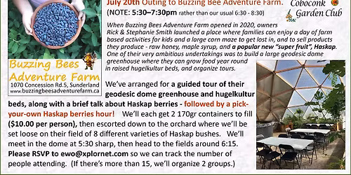 OUTING to Buzzing Bee Adventure Farm. Greenhouse tour and Haskap picking!