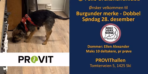 Merkepr\u00f8ve - Burgunder x 2