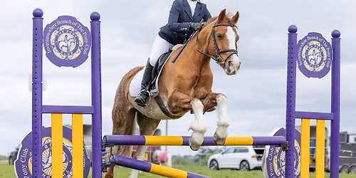 IPC Winter Showjumping League