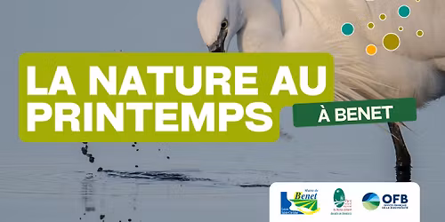 ANIMATION "\u00c0 UN BATTEMENT D'AILE : \u00c9COUTE ET OBSERVATION DES OISEAUX DU MARAIS"
