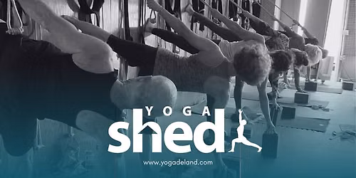 Iyengar Yoga for the Nervous System