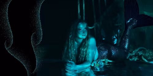 Mermaid Photoshoot: Summoning Your Inner Siren