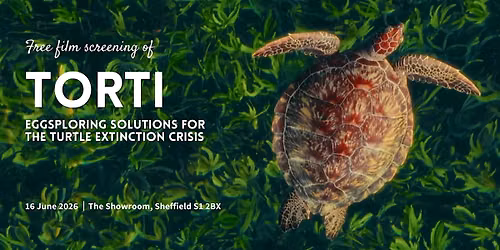 Torti: Eggsploring Solutions for the Turtle Extinction Crisis