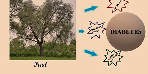 The Residents with DJ Carbo (18+)