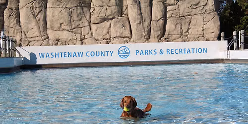 DOGGY DIP!!!