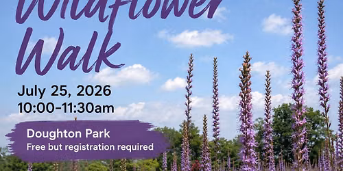 Wildflower Walk at Doughton Park