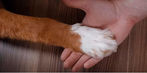 Nail Clipping Clinic