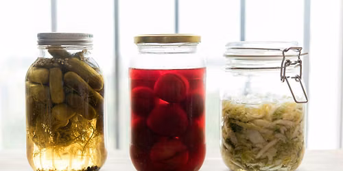 26th August - Fermentation & Preservation of Harvests