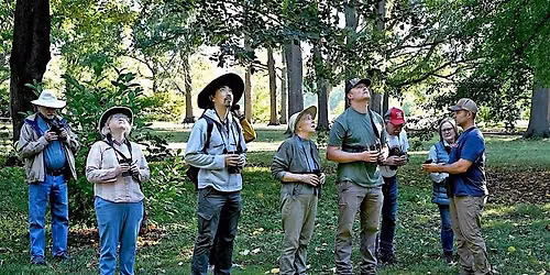 Arboretum Fall Migration Bird Hikes
