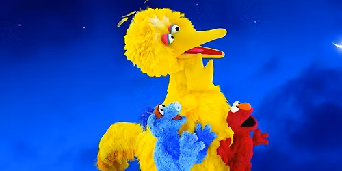 One World, One Sky: Big Bird's Adventure