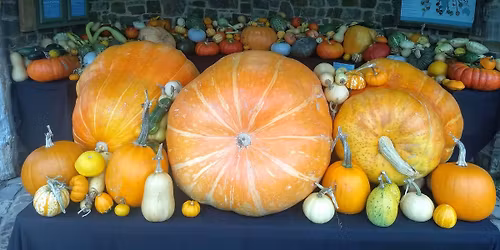 Great Torrington Death Cafe