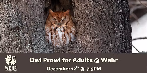 Owl Prowl for Adults @ Wehr Nature Center