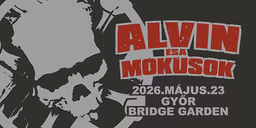 ALVIN \u00c9S A M\u00d3KUSOK \u2605 GY\u0150R