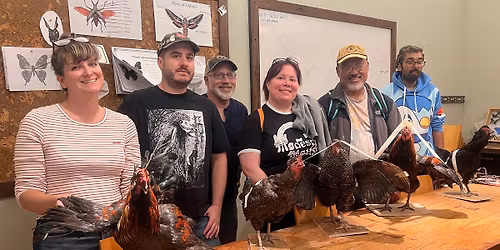 DIY Taxidermy Rooster Workshop