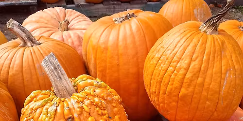 Sugarfoot Pumpkin Carving Party