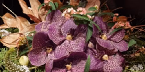 Julearrangement\/demonstration