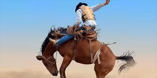 Houston Livestock Show And Rodeo - Grounds Admission Only