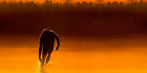 THE LEGEND OF BOGGY CREEK (1972) + Conversation w\/ Matt Yoka & Guests!