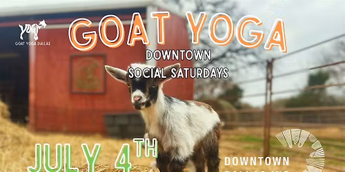 Downtown Goat Yoga - Social Saturdays