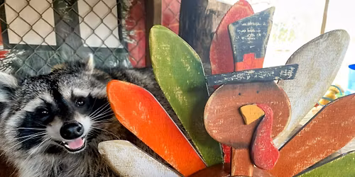 Market On River Thanksgiving Event!