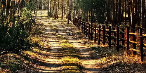 Do Kartuz na kawk\u0119 gravelowo 