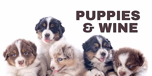 Puppies and Wine