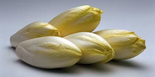 Marche 'chicon' \u00e0 Faumont