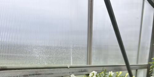 Estacada FFA Plant Sale