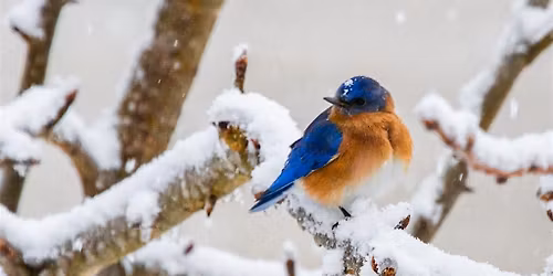 Lancaster County 4-H Bird Club Field Days 2026