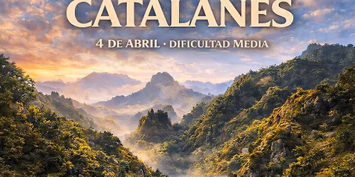Catalanes 