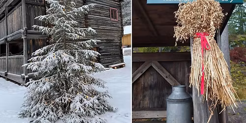 F\u00f8rjulsmoro \/julemarked 