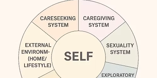 Objavovanie seba - Sk\u00famanie dynamiky vz\u0165ahovej v\u00e4zby v dospelosti