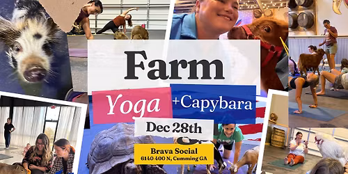 Farm Yoga w\/Highland Cow & Capybara too!