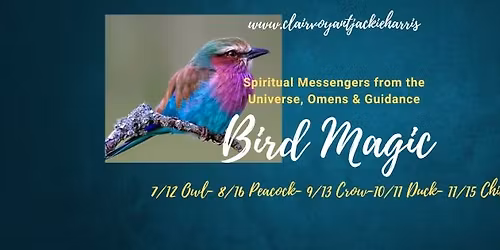Bird Magic, Spiritual Messages, Omens & Guidance