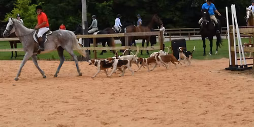 Mecklenburg Hounds Inc Spring Fling Horse Show!