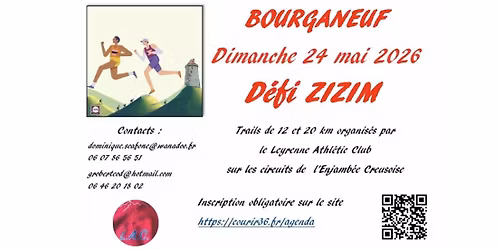 D\u00e9fi ZIZIM