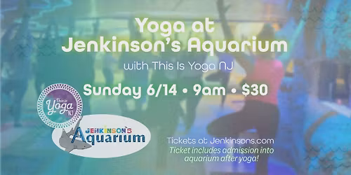 Yoga at Jenkinson's Aquarium