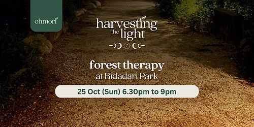 Forest Therapy & Bathing: Harvesting the Light (Sunday 25 October)