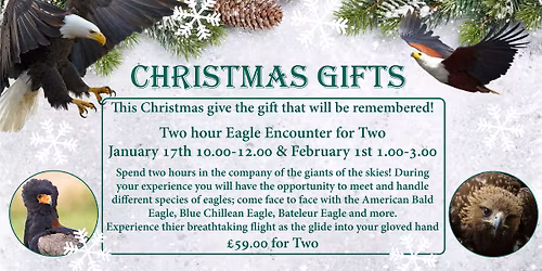 Christmas Gifts - 2 Hour Eagle Experience for Two