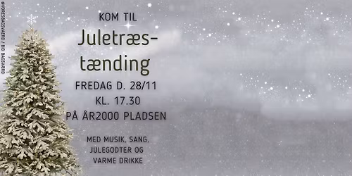 JULETR\u00c6ST\u00c6NDING FREDAG D. 28\/11 KL. 17.30 P\u00e5 \u00c5R2000 PLADSEN\ud83c\udf84
