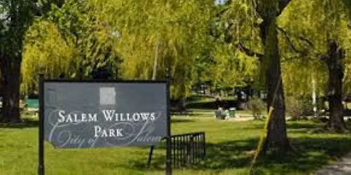 Salem Willows