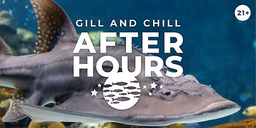 After Hours: Gill and Chill
