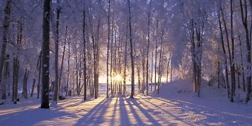 Winter Solstice Candlelight Yoga