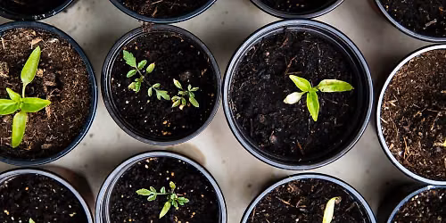 The Joy of Propagation 2026