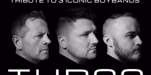 Thr33 Boy Band Tribute | The Hotel