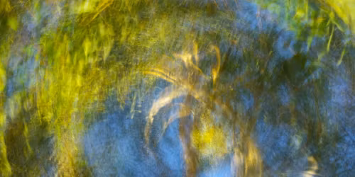 Danse au Centre ! - Soir\u00e9e de danse libre avec Yannick Laval \ud83c\udf41