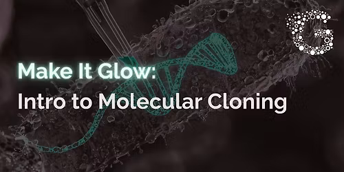 Make It Glow: Intro to Molecular Cloning