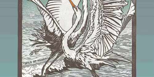 Wild and Scenic Film Festival: WATER TALES