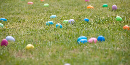 Spring Eggstravaganza