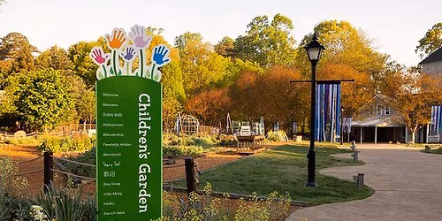 Baby Bugs Stay and Play